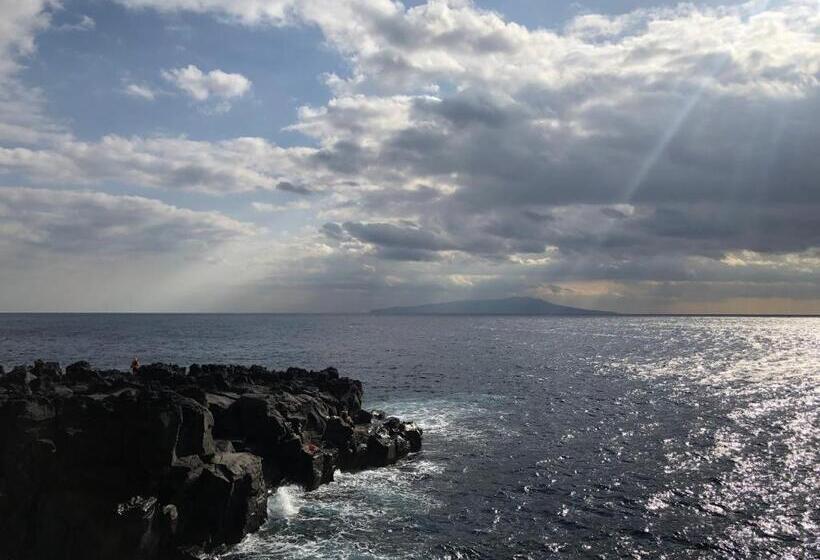 פנסיון 伊道荘園