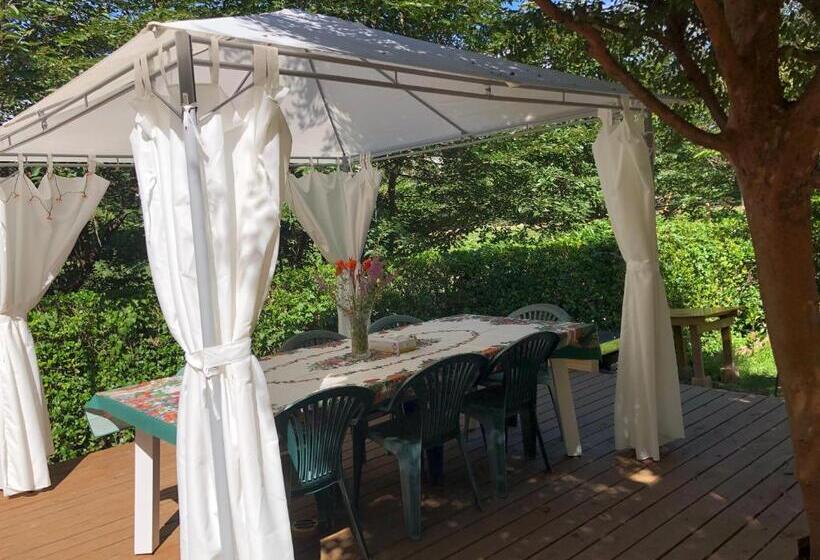 פנסיון 伊道荘園