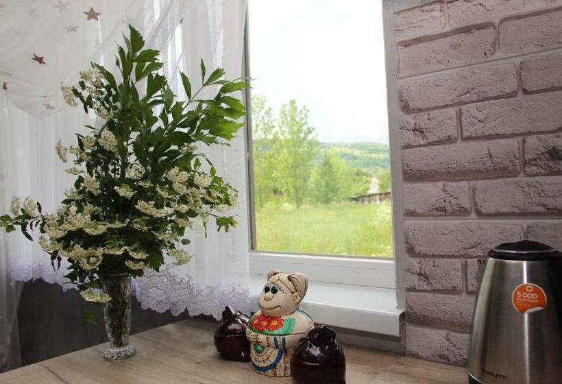 ペンション карпатське сяйво