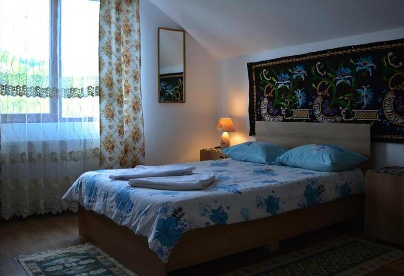 膳宿费 Acasa In Maramures