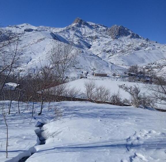 بنسيون Spring Family Guest House