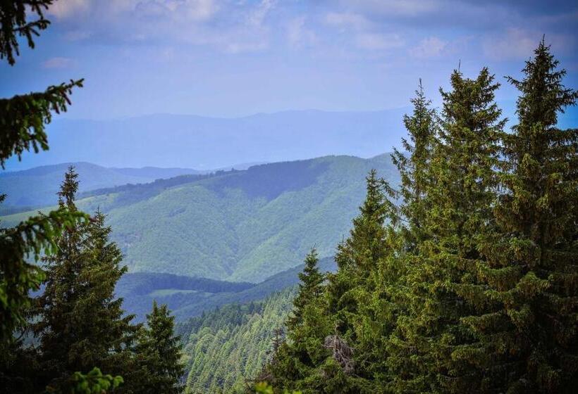 Pensiunea Montana Muntele Mic