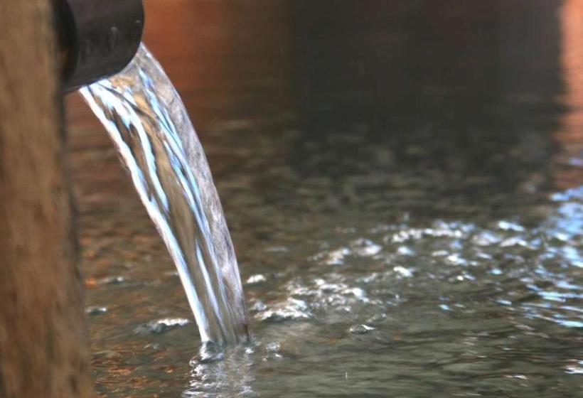 Ryokan 布引観音温泉