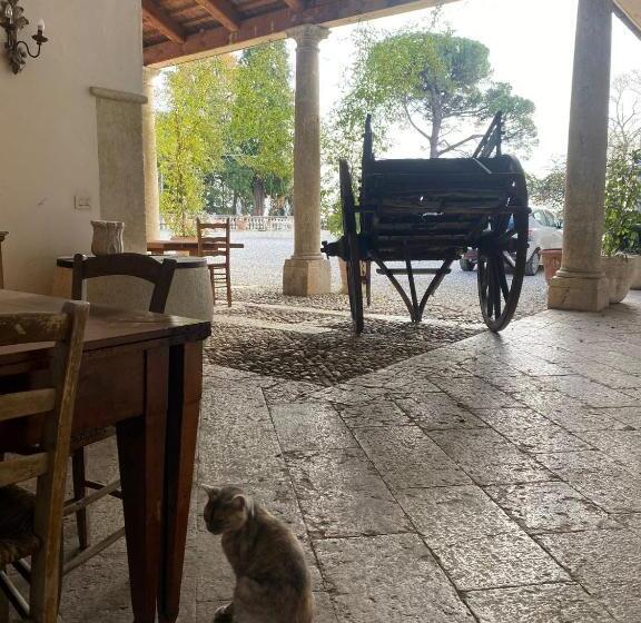 تختخواب و صبحانه Villa Stecchini