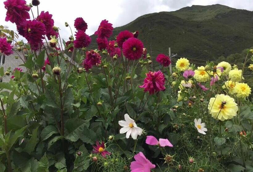 호텔 7days Inn Garze Kangding Xinduqiao Branch