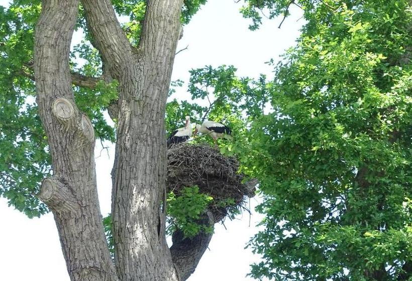 ホテル Alte Fischerkate