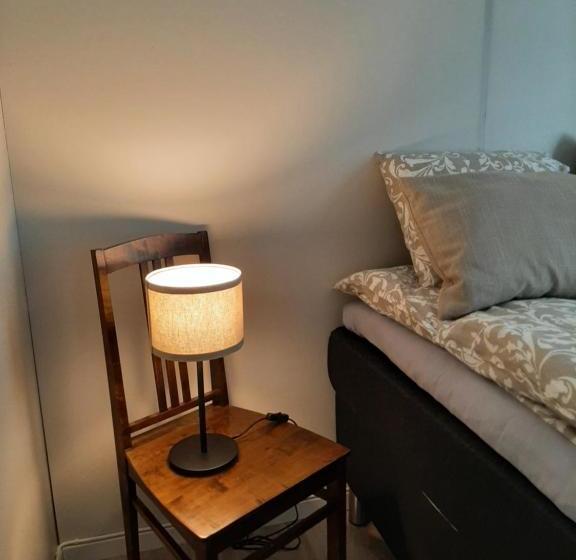 ホテル Saarijärven Ruustinna Oy