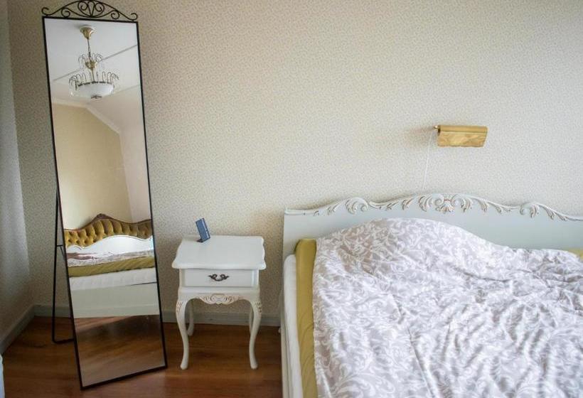 ホテル Saarijärven Ruustinna Oy