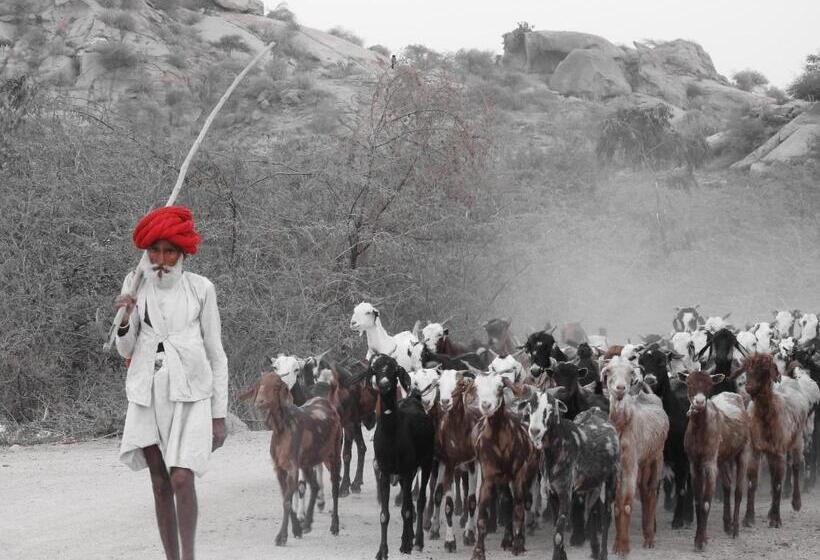 منتجع Jawai Bera Leopard Camp