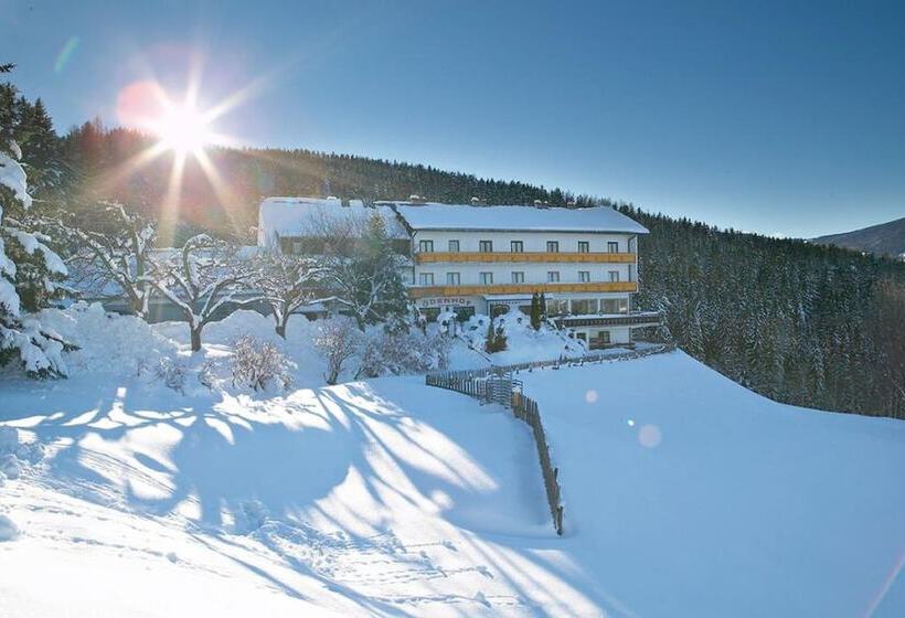 Общежитие Gasthof Pension ödenhof