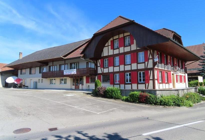旅馆 Gasthof Schwanen Radelfingen