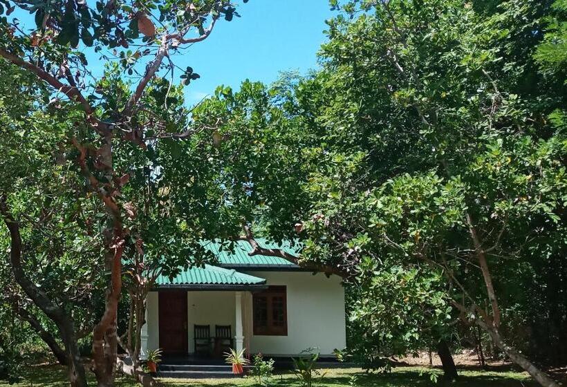 فندق Sigiri Suncap Cottage