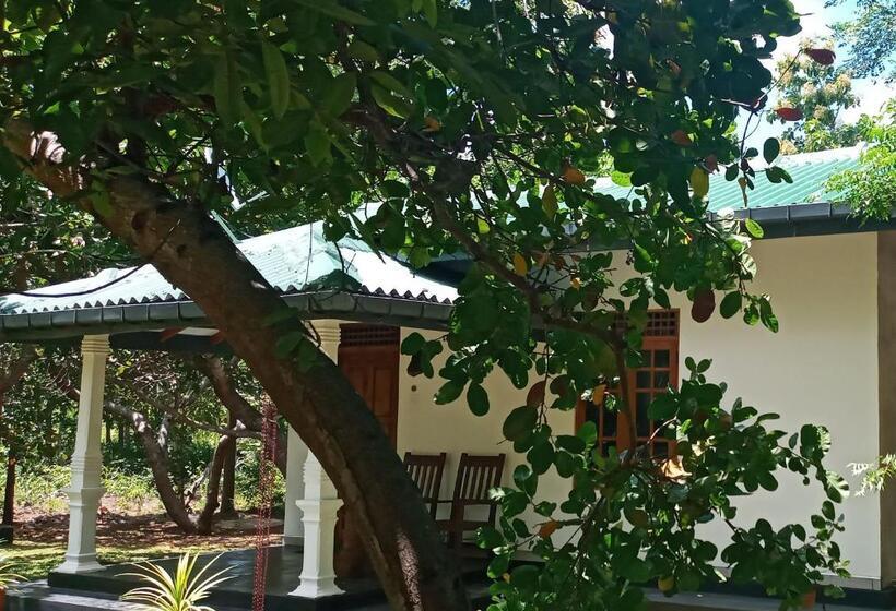 فندق Sigiri Suncap Cottage