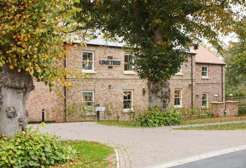 هتل The Lime Tree Inn