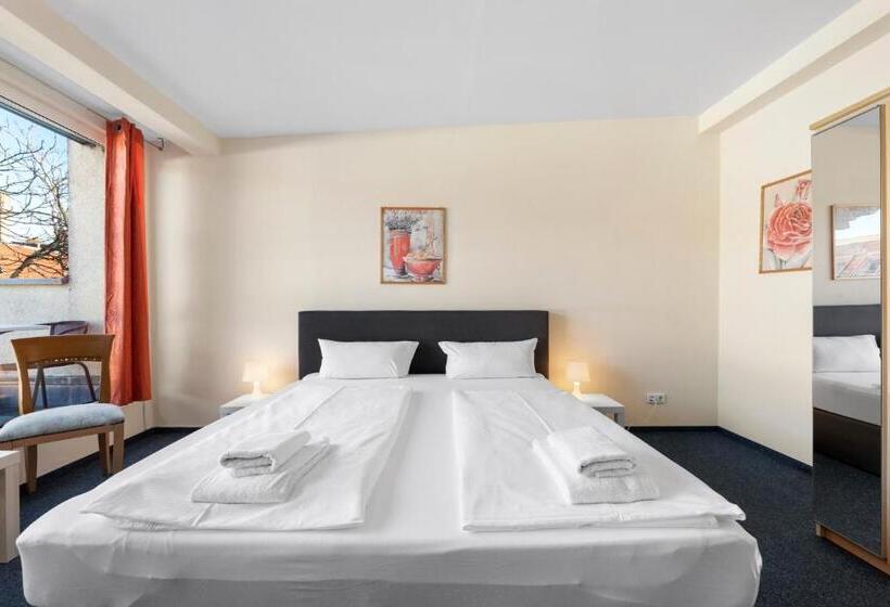 Fotos del hotel Comenius:  6