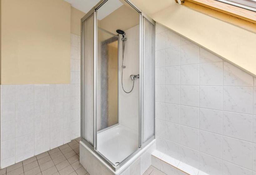 Fotos del hotel Comenius:  15