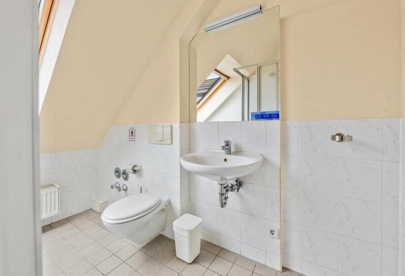 Fotos del hotel Comenius:  30