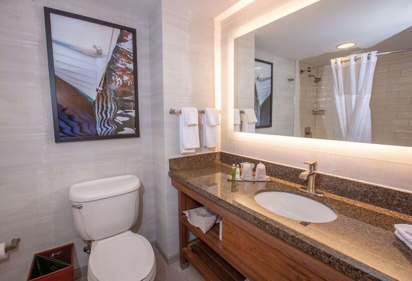 فندق Doubletree By Hilton Bay City Riverfront