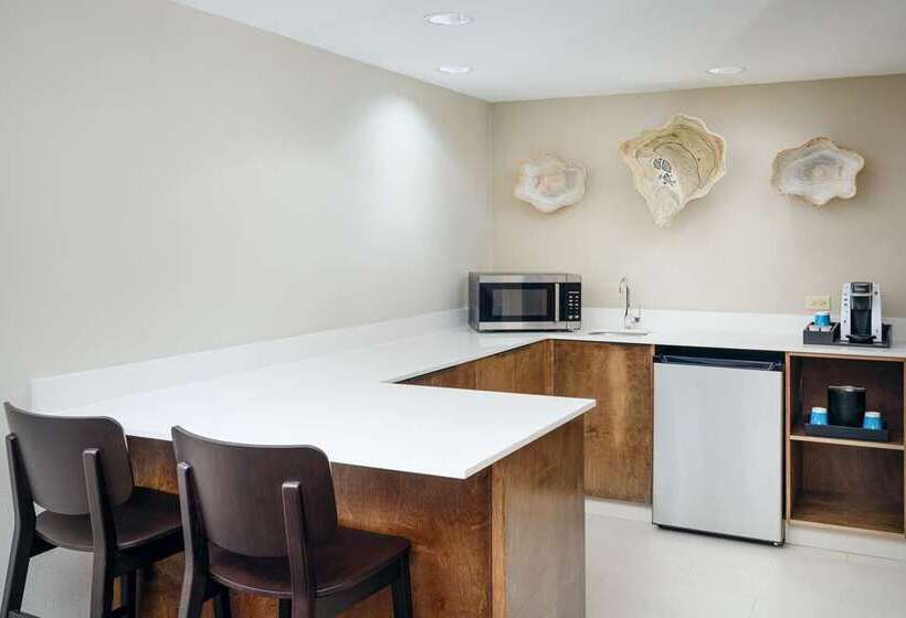 هتل Embassy Suites By Hilton Charleston Airport Convention Ctr