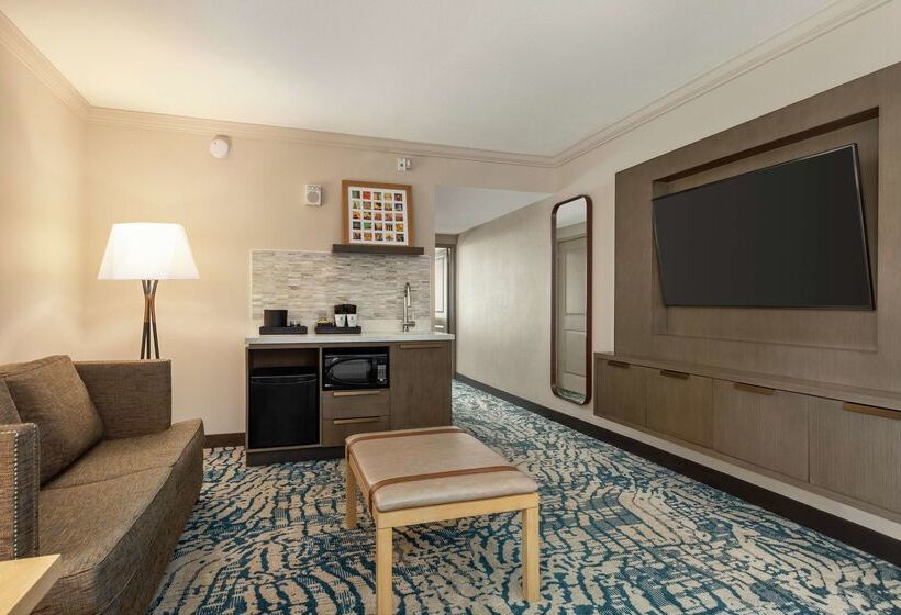 בית מלון כפרי Embassy Suites By Hilton Tampa Downtown Convention Center
