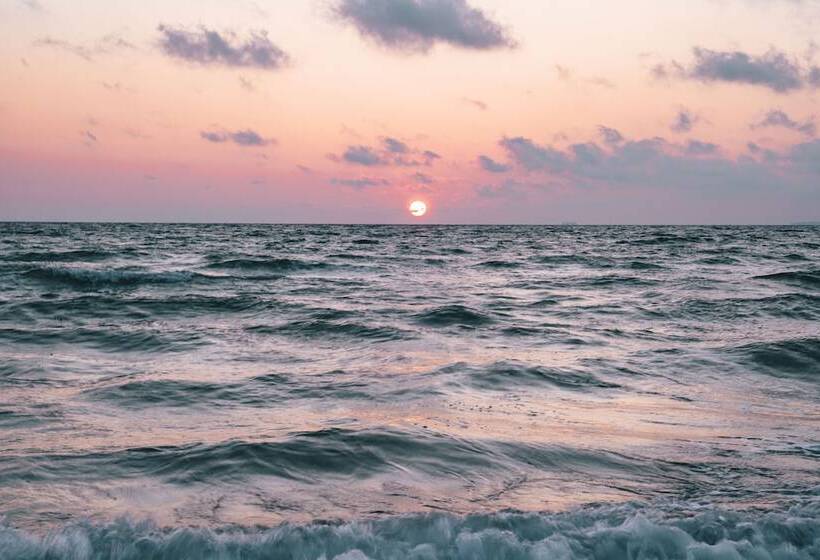 فندق Gran Belveder & Ostsee Therme Resort & Spa