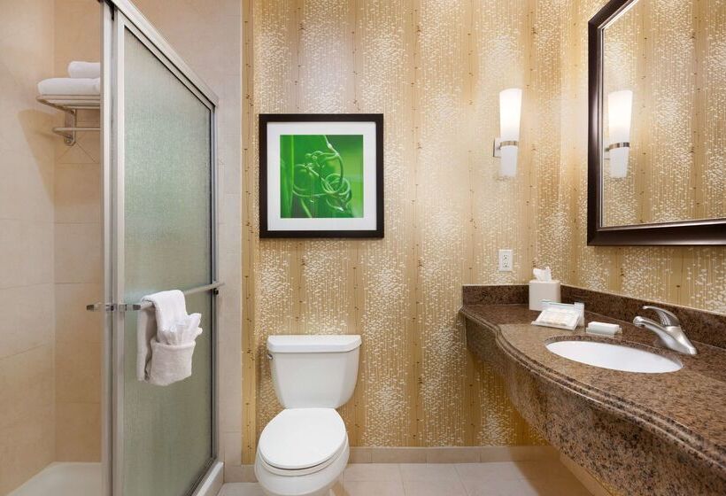 בית מלון כפרי Hilton Garden Inn Abilene