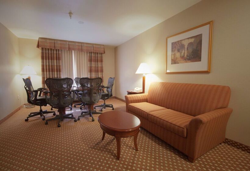 هتل Hilton Garden Inn Albuquerque Uptown
