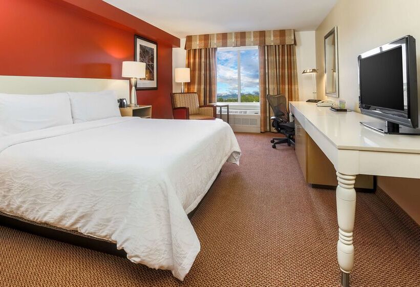 هتل Hilton Garden Inn Anchorage
