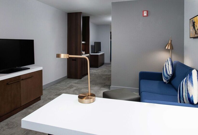 هتل Hilton Garden Inn Baton Rouge Airport