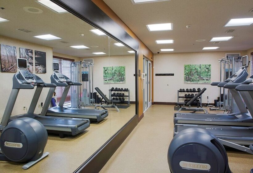 هتل Hilton Garden Inn Bentonville Rogers