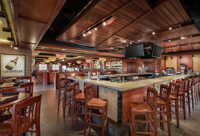 هتل Hilton Garden Inn Dubuque Downtown