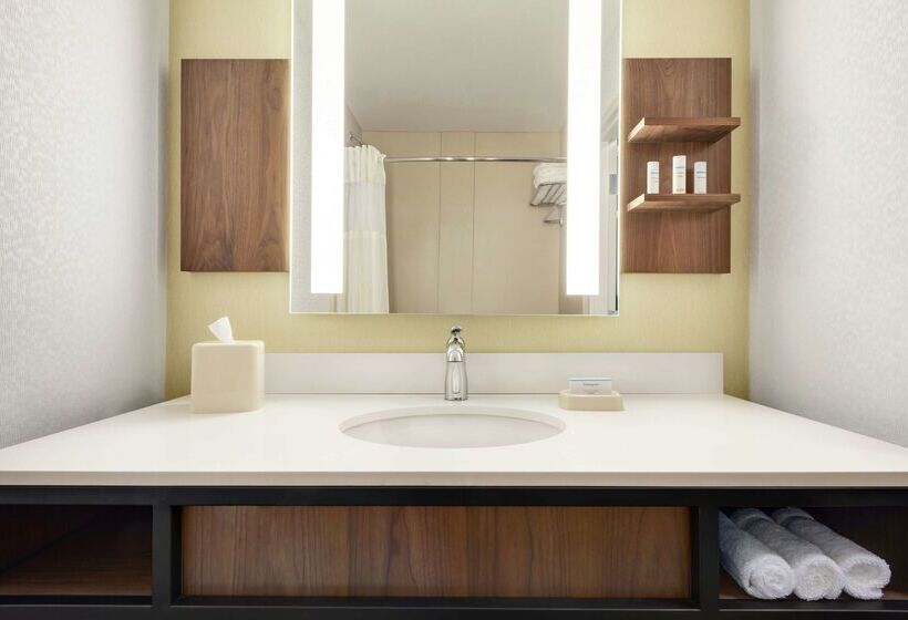 هتل Hilton Garden Inn Dubuque Downtown