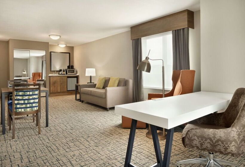 هتل Hilton Garden Inn Dubuque Downtown
