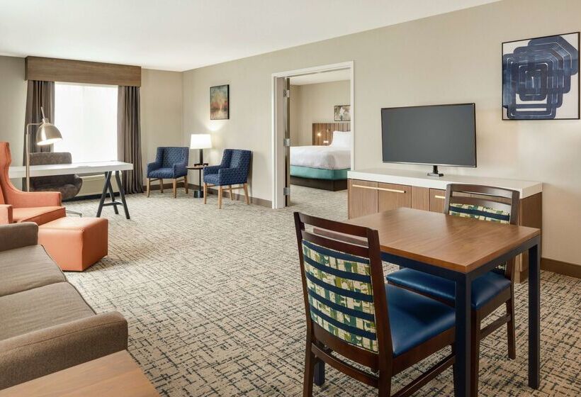 هتل Hilton Garden Inn Dubuque Downtown