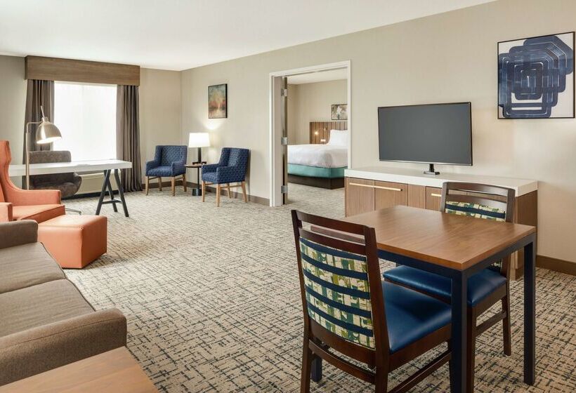 فندق Hilton Garden Inn Dubuque Downtown