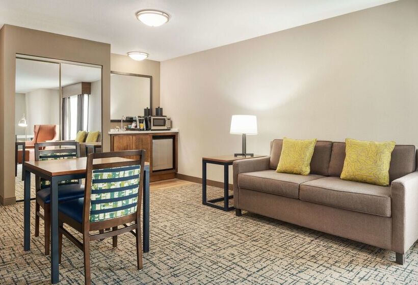 هتل Hilton Garden Inn Dubuque Downtown