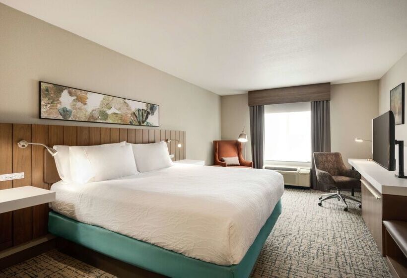 هتل Hilton Garden Inn Dubuque Downtown