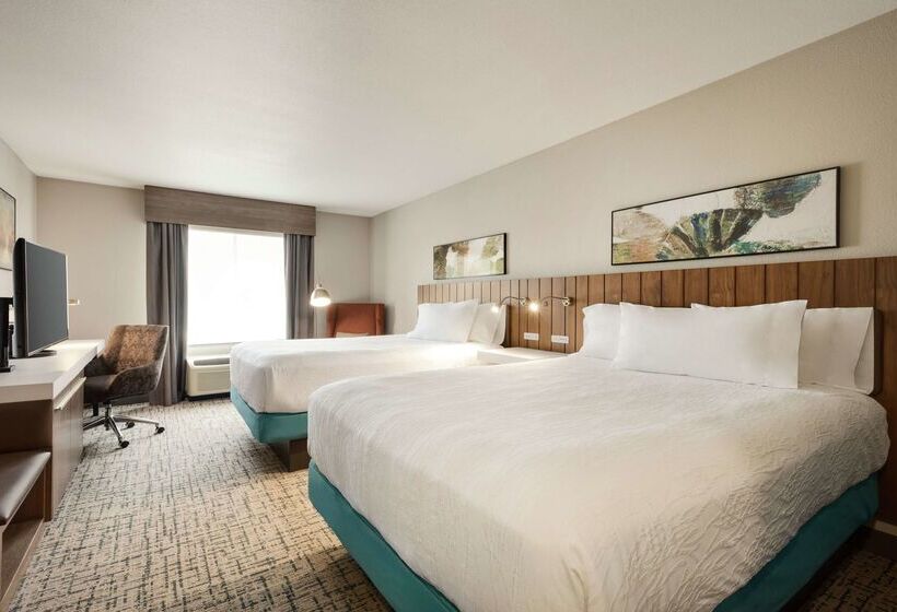 هتل Hilton Garden Inn Dubuque Downtown