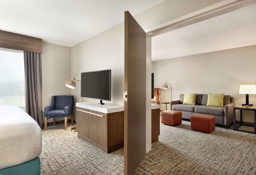 هتل Hilton Garden Inn Dubuque Downtown
