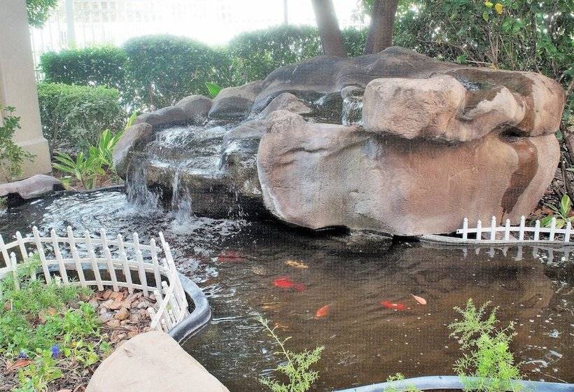 Fotos del hotel Hilton Garden Inn Houston Westbelt:  56