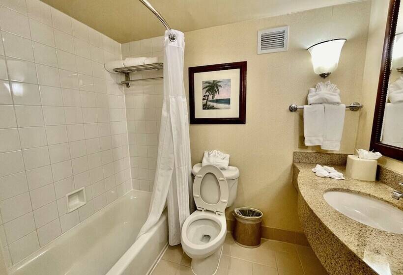 Fotos del hotel Hilton Garden Inn Houston Westbelt:  27