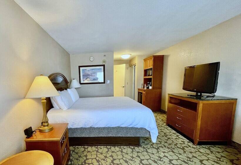 Fotos del hotel Hilton Garden Inn Houston Westbelt:  4