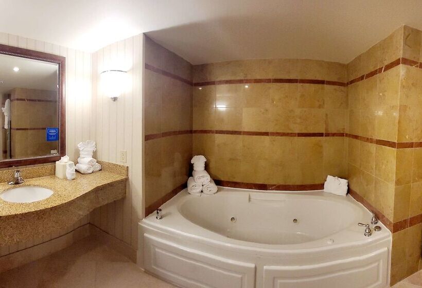 Fotos del hotel Hilton Garden Inn Houston Westbelt:  43