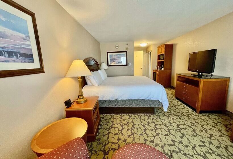 Fotos del hotel Hilton Garden Inn Houston Westbelt:  16
