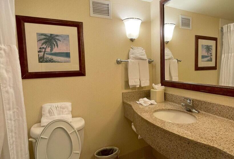 Fotos del hotel Hilton Garden Inn Houston Westbelt:  53