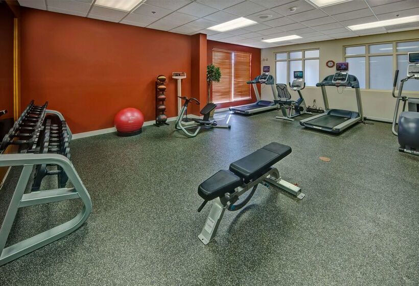 هتل Hilton Garden Inn Indianapolis Northeast/fishers