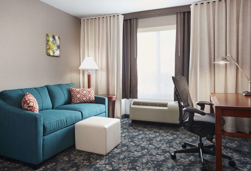 هتل Hilton Garden Inn Schaumburg