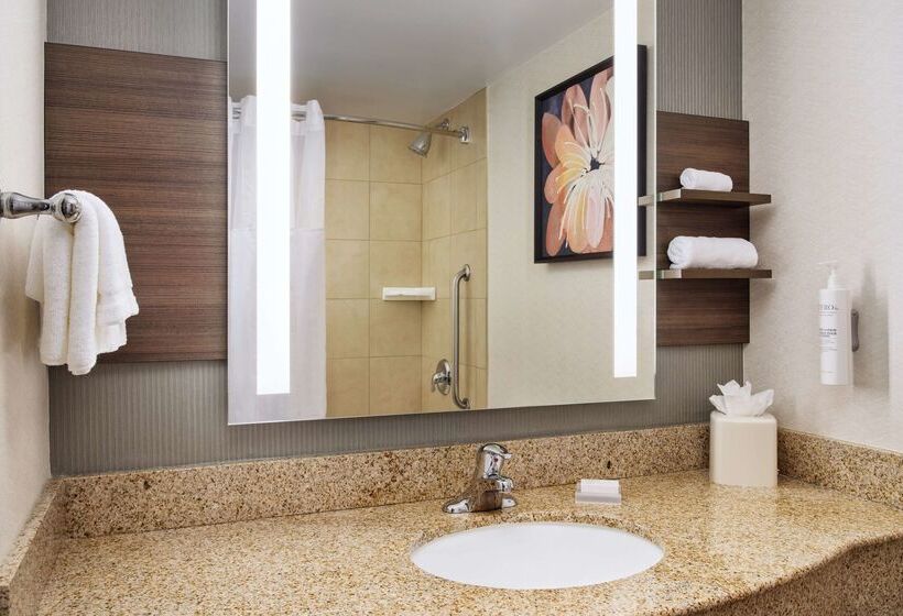 هتل Hilton Garden Inn Schaumburg