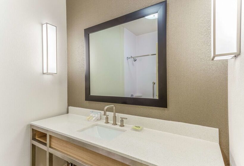 בית מלון כפרי Hilton Garden Inn St Charles