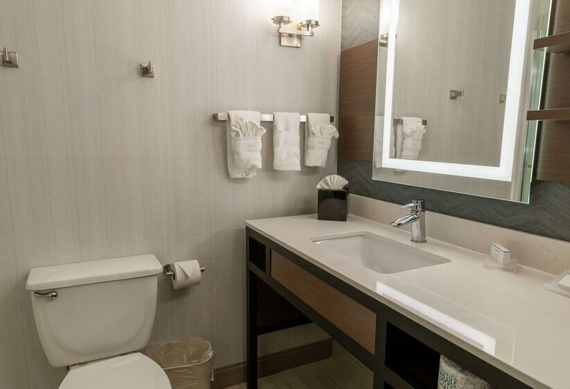 هتل Hilton Garden Inn Des Moines West